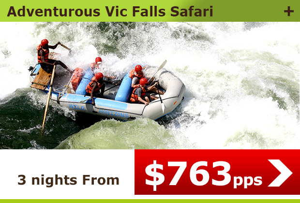 Adventurous Vic Falls Safari